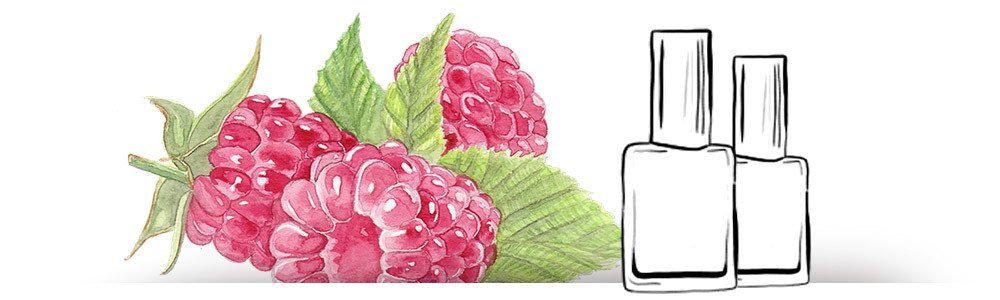 Produktpräsentation mit Himbeere und Kosmetika mit Illustrationen von Julia Faßhauer farbcafe.de