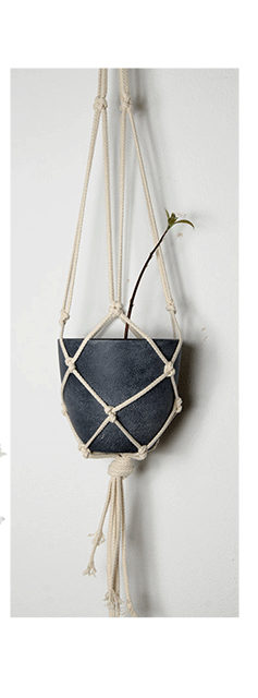 Blumenampel von KettuWue